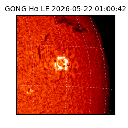 gong - 2026-05-22T01:00:42