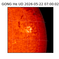 gong - 2026-05-22T07:00:02