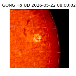 gong - 2026-05-22T08:00:02
