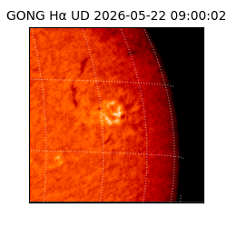 gong - 2026-05-22T09:00:02