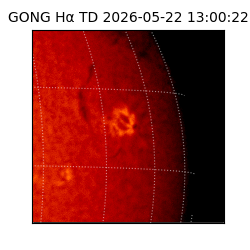 gong - 2026-05-22T13:00:22