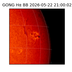 gong - 2026-05-22T21:00:02