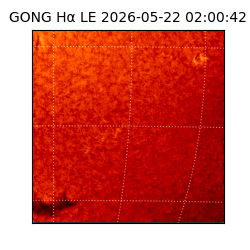 gong - 2026-05-22T02:00:42