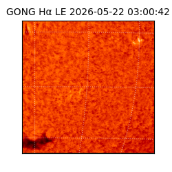 gong - 2026-05-22T03:00:42