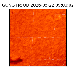 gong - 2026-05-22T09:00:02