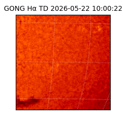 gong - 2026-05-22T10:00:22