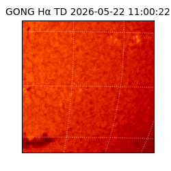 gong - 2026-05-22T11:00:22