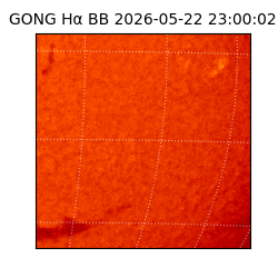 gong - 2026-05-22T23:00:02