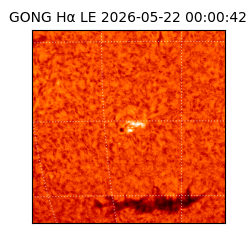 gong - 2026-05-22T00:00:42
