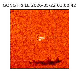 gong - 2026-05-22T01:00:42