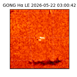 gong - 2026-05-22T03:00:42