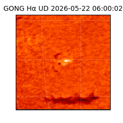 gong - 2026-05-22T06:00:02