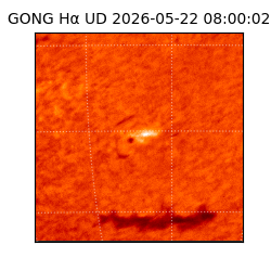 gong - 2026-05-22T08:00:02