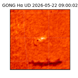 gong - 2026-05-22T09:00:02