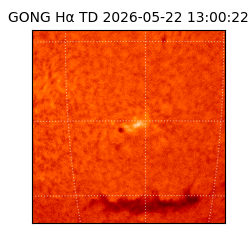 gong - 2026-05-22T13:00:22