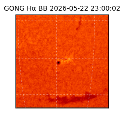 gong - 2026-05-22T23:00:02