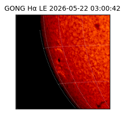 gong - 2026-05-22T03:00:42