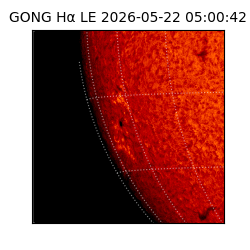 gong - 2026-05-22T05:00:42