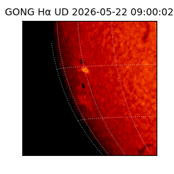gong - 2026-05-22T09:00:02