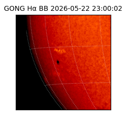 gong - 2026-05-22T23:00:02