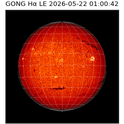 gong - 2026-05-22T01:00:42