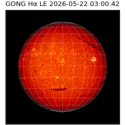 gong - 2026-05-22T03:00:42
