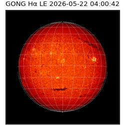 gong - 2026-05-22T04:00:42