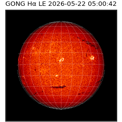 gong - 2026-05-22T05:00:42