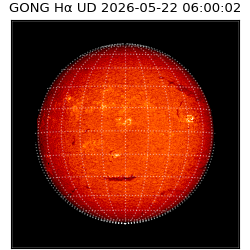 gong - 2026-05-22T06:00:02