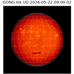 gong - 2026-05-22T09:00:02