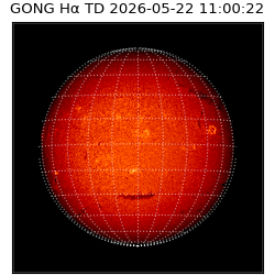 gong - 2026-05-22T11:00:22