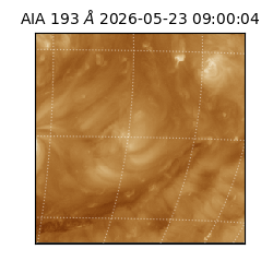 saia - 2026-05-23T09:00:04.842000
