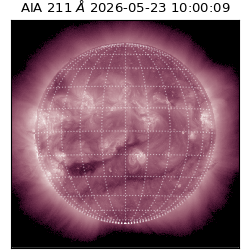 saia - 2026-05-23T10:00:09.623000