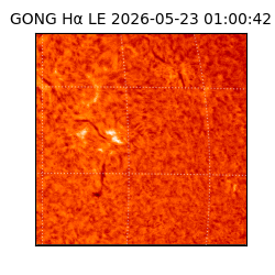 gong - 2026-05-23T01:00:42