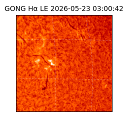 gong - 2026-05-23T03:00:42