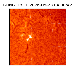 gong - 2026-05-23T04:00:42