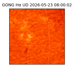 gong - 2026-05-23T08:00:02