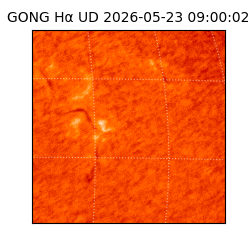 gong - 2026-05-23T09:00:02