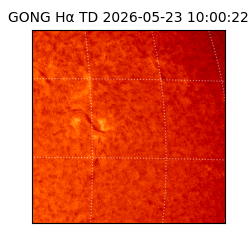 gong - 2026-05-23T10:00:22