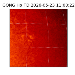 gong - 2026-05-23T11:00:22