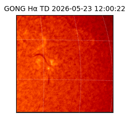 gong - 2026-05-23T12:00:22