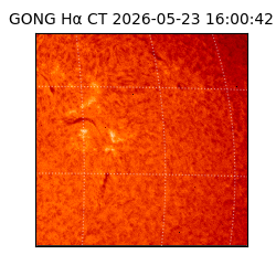 gong - 2026-05-23T16:00:42