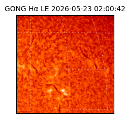 gong - 2026-05-23T02:00:42