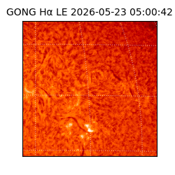 gong - 2026-05-23T05:00:42