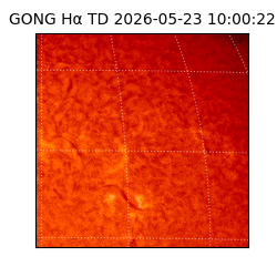 gong - 2026-05-23T10:00:22