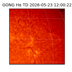 gong - 2026-05-23T12:00:22