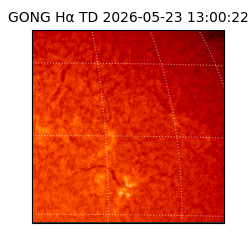 gong - 2026-05-23T13:00:22