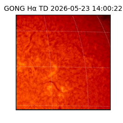 gong - 2026-05-23T14:00:22