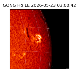 gong - 2026-05-23T03:00:42