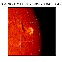 gong - 2026-05-23T04:00:42